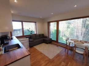 Vytauto 423 Apartments by JK